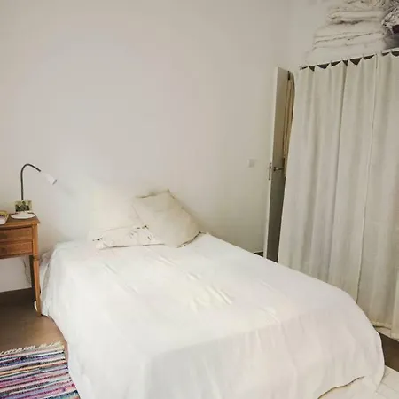 Charmoso Apartamento Central Com Jardim Lisboa